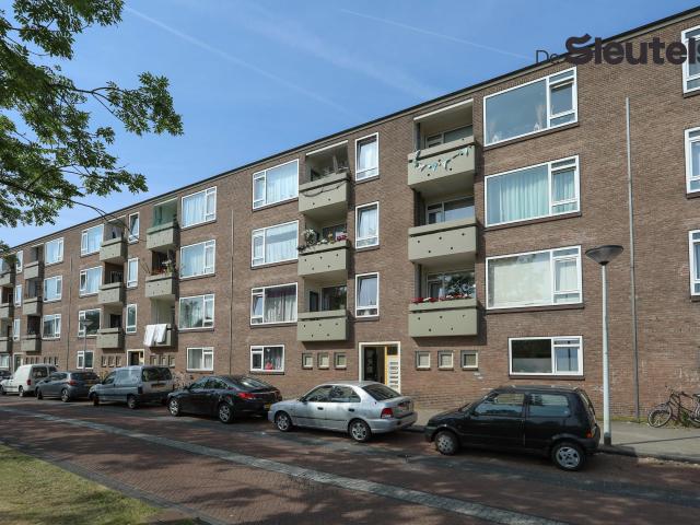Apartment for rent in Leiden