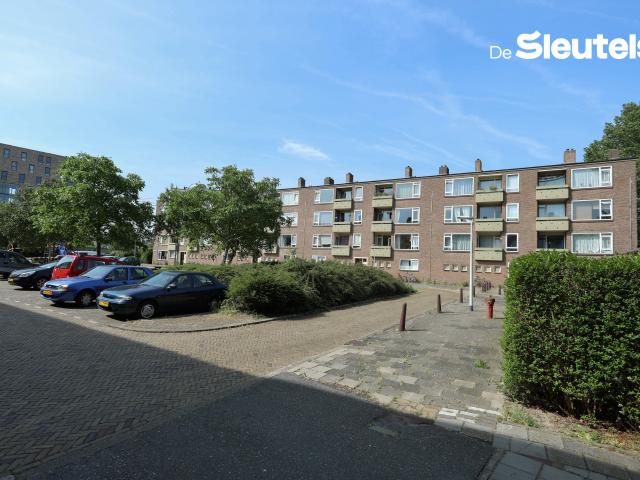 Apartment for rent in Leiden