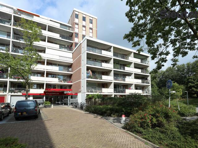 Apartment for rent in Leiden