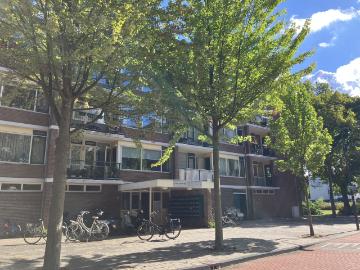 Oude Rijn, Binnenstad, Leiden, Leiden, Zuid-Holland