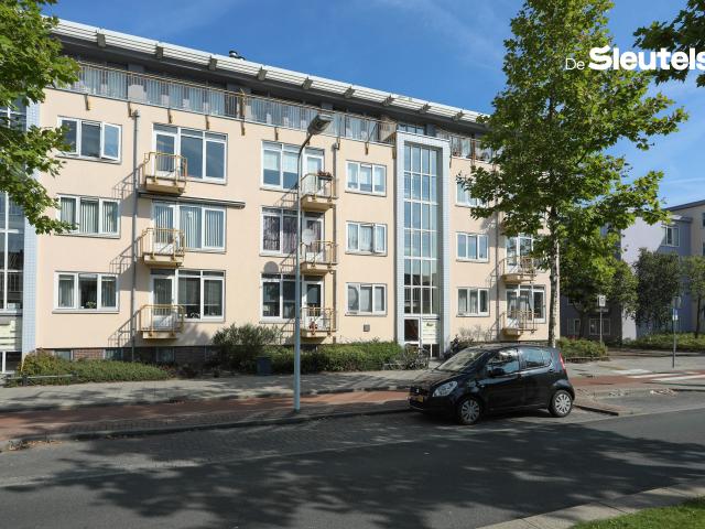 Apartment for rent in Leiden