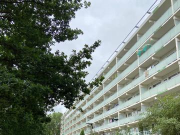 Oude Rijn, Binnenstad, Leiden, Leiden, Zuid-Holland