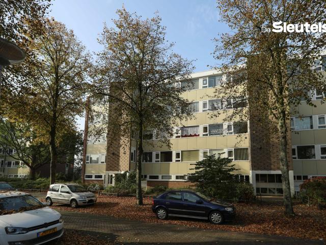 Apartment for rent in Leiden