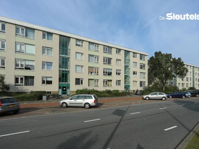 Apartment for rent in Leiden