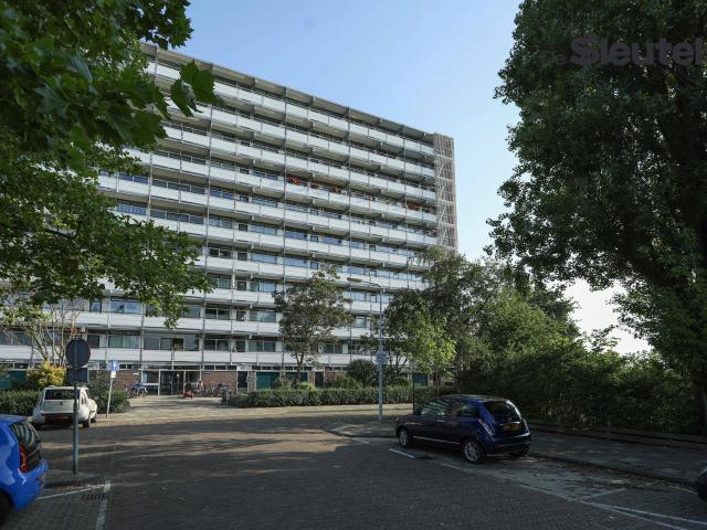 Apartment for rent in Leiden