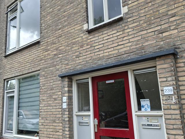 Apartment for rent in Leiden