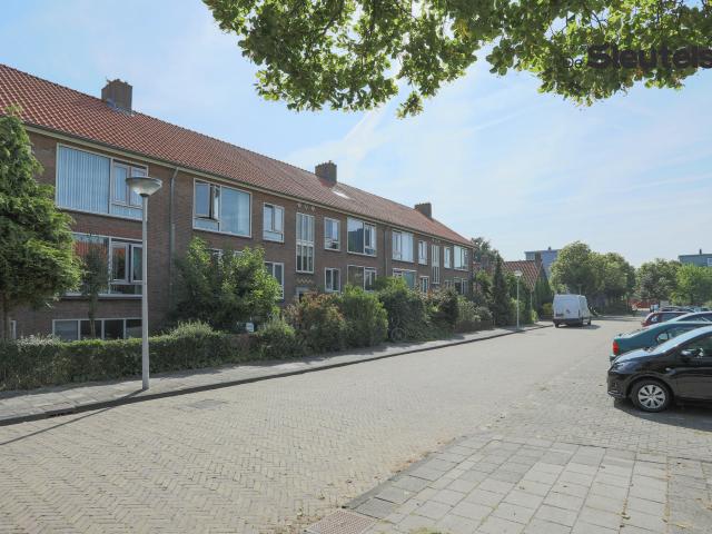 Apartment for rent in Leiden