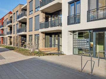 apartment for rent in Molenlaan 83 4401CB Reimerswaal Yerseke Kern Yerseke