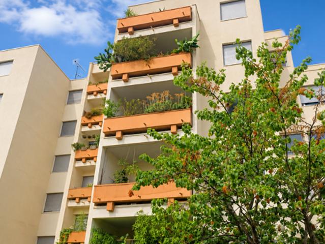 apartment for rent in MONTPELLIER