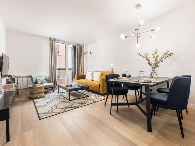 Modern One Bedroom Apartment in Central Madrid