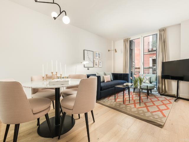 Modern One Bedroom Apartment in Downtown Madrid