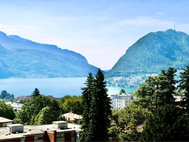 Apartment for rent in Massagno, switzerland