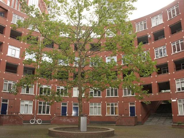 apartment for rent in Muzenplein 140 2511GK Den Haag Uilebomen Den Haag