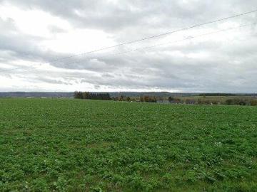 5300, Arrondissement de Namur, Wallonie