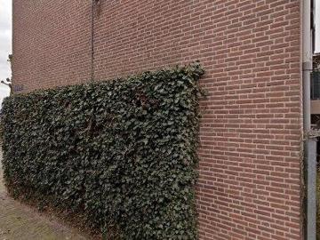Apartment for rent in Nijmegen