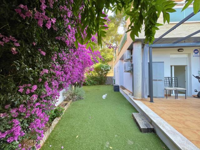 Apartment for rent in San Agustín / Sant Agustí, Palma de Mallorca, Mallorca