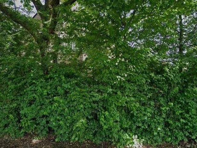 Apartment for rent in Sint Niklaas