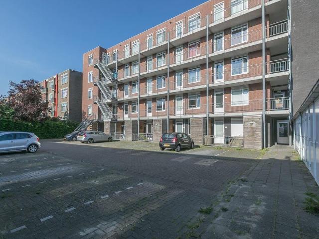 Apartment for rent in Spieghelstraat 14 8, 9721JW, Groningen, Netherlands