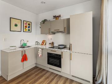 apartment for rent in Prinses Alexia Promenade 15 2284BT Rijswijk Artiestenbuurt Rijswijk ZH