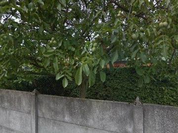 Apartment for rent in Putte