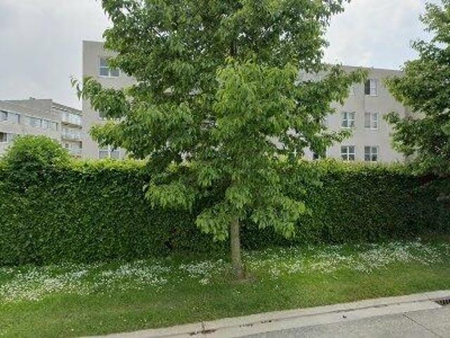 Apartment for rent in Roeselare, West Vlaanderen
