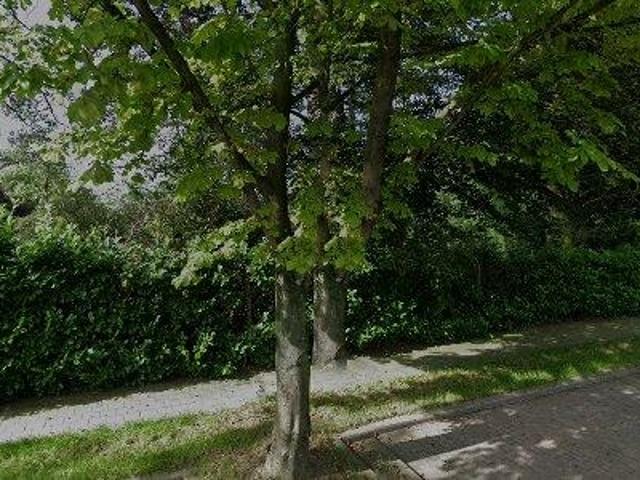 Apartment for rent in Roeselare