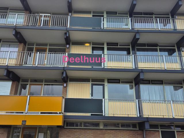 Apartment for rent in Raalte