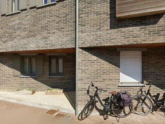 Apartment for rent in Retie