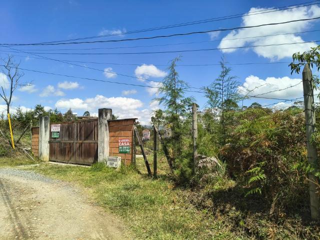 apartment for rent in Rionegro