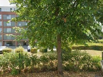 Apartment for rent in Rumst