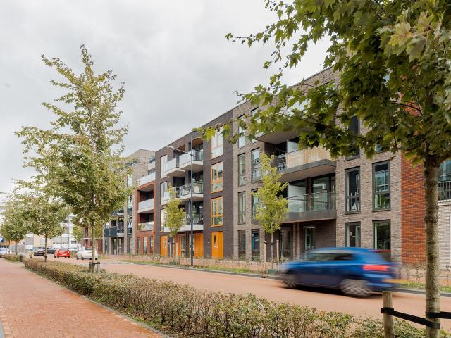 apartment for rent in Wolweg 80 3901 TC Veenendaal Schrijverswijk