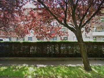 Apartment for rent in Waterloo