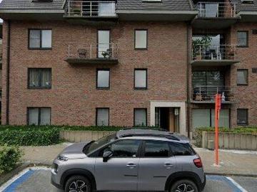 9230, Termonde, Flandre orientale, Flandre