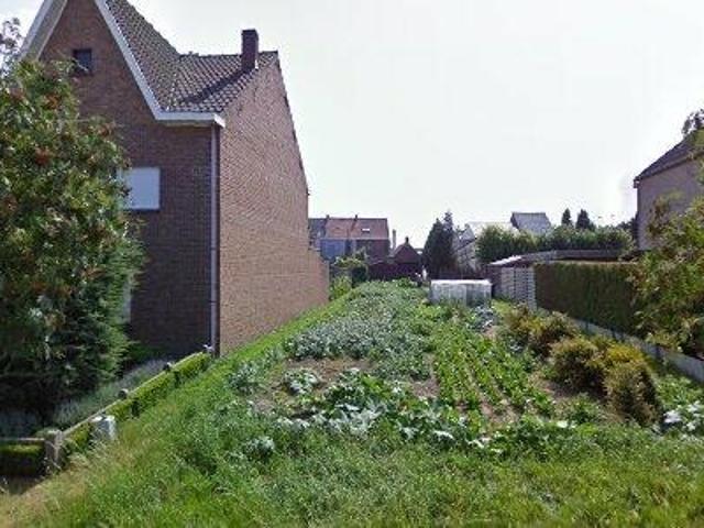 Apartment for rent in Wetteren