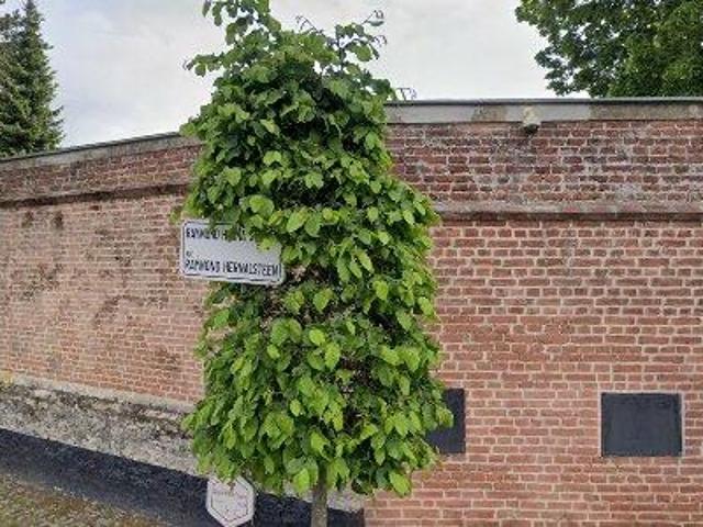 Apartment for rent in Wezembeek Oppem