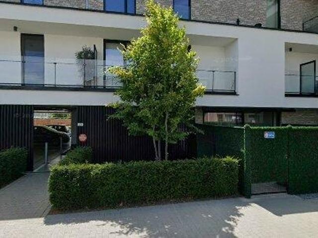 Apartment for rent in Tongeren