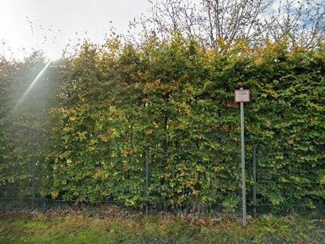 Apartment for rent in Temse, Oost Vlaanderen