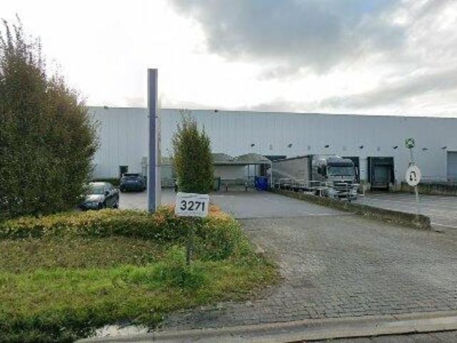 Apartment for rent in Temse, Oost Vlaanderen