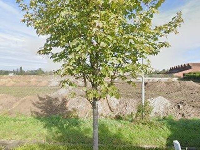 Apartment for rent in Tielt