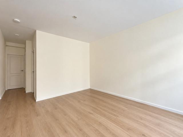apartment for rent in Van Woustraat 1073LP Amsterdam