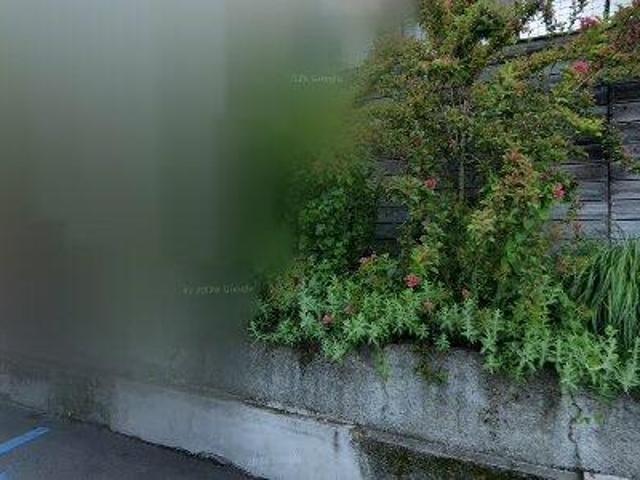 Apartment for rent in Zürich Distrikt 7