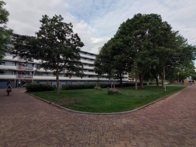 Apartment for rent inSneek
