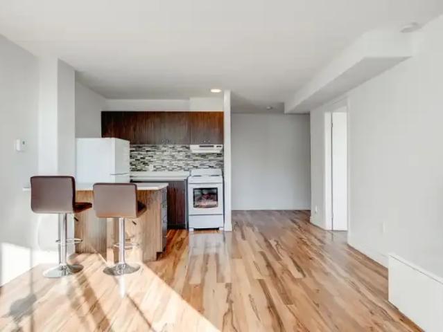 Apartment For Rent Montreal QC 1025 ELS99003248