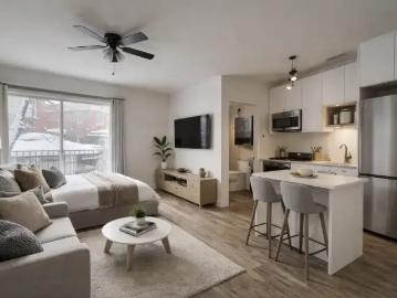 Apartment For Rent Montreal QC 1100 ES100007930