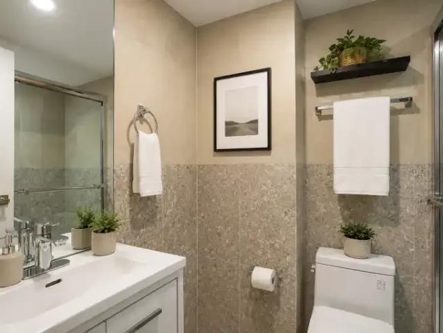 Apartment For Rent Montreal QC 1245 ES105071839