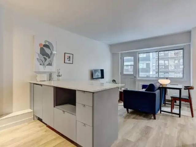 Apartment For Rent Montreal QC 1295 ES102306065