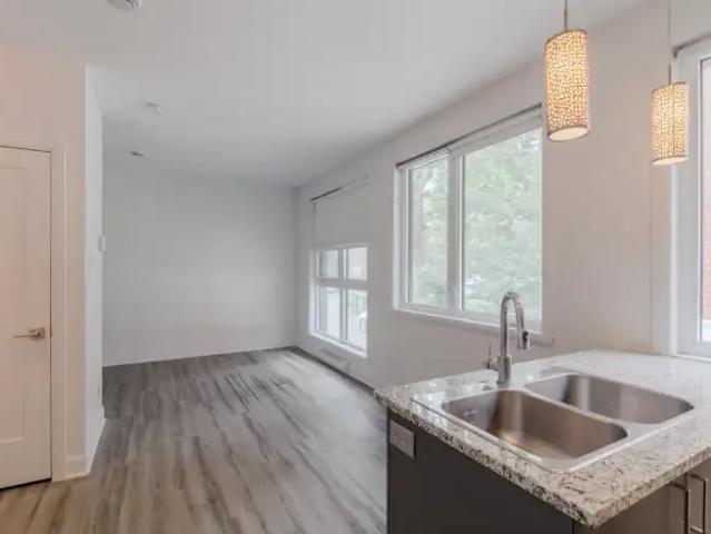 Apartment For Rent Montreal QC 1295 ES102714906