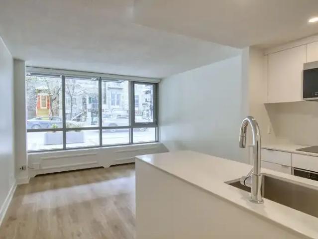 Apartment For Rent Montreal QC 1295 ES103423947