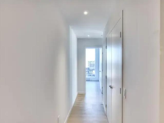 Apartment For Rent Montreal QC 1315 ES95394459
