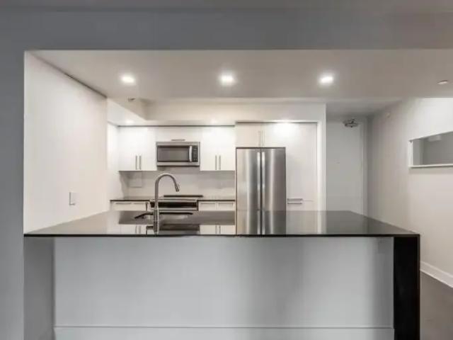 Apartment For Rent Montreal QC 1550 ES102883521